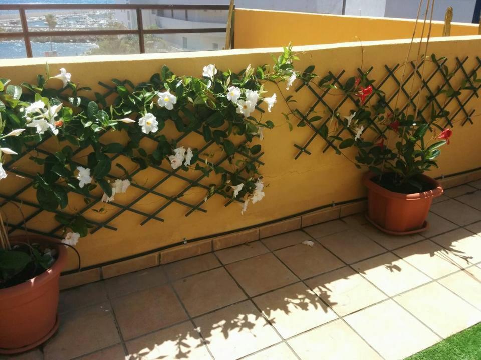 431 - Edif Aguamarina - Vacation Rental Home In The Coast Line Of Golf Del Sur سان ميغيل ذي أبونا المظهر الخارجي الصورة