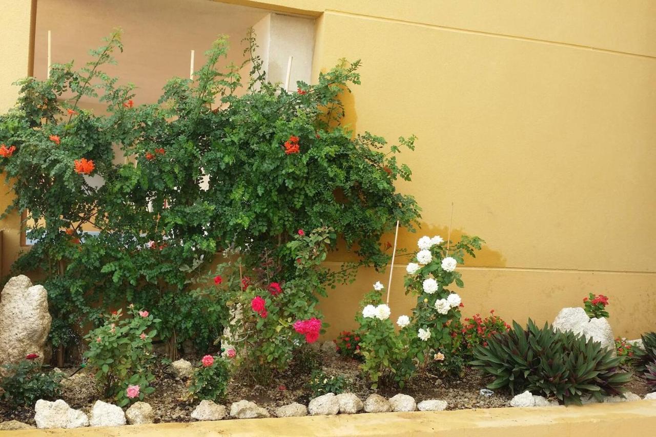 431 - Edif Aguamarina - Vacation Rental Home In The Coast Line Of Golf Del Sur سان ميغيل ذي أبونا المظهر الخارجي الصورة